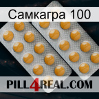 Самкагра 100 levitra2